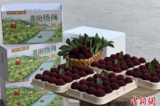 梦见迁坟高速赋能产业升级：一条“杨梅路”的致富密码